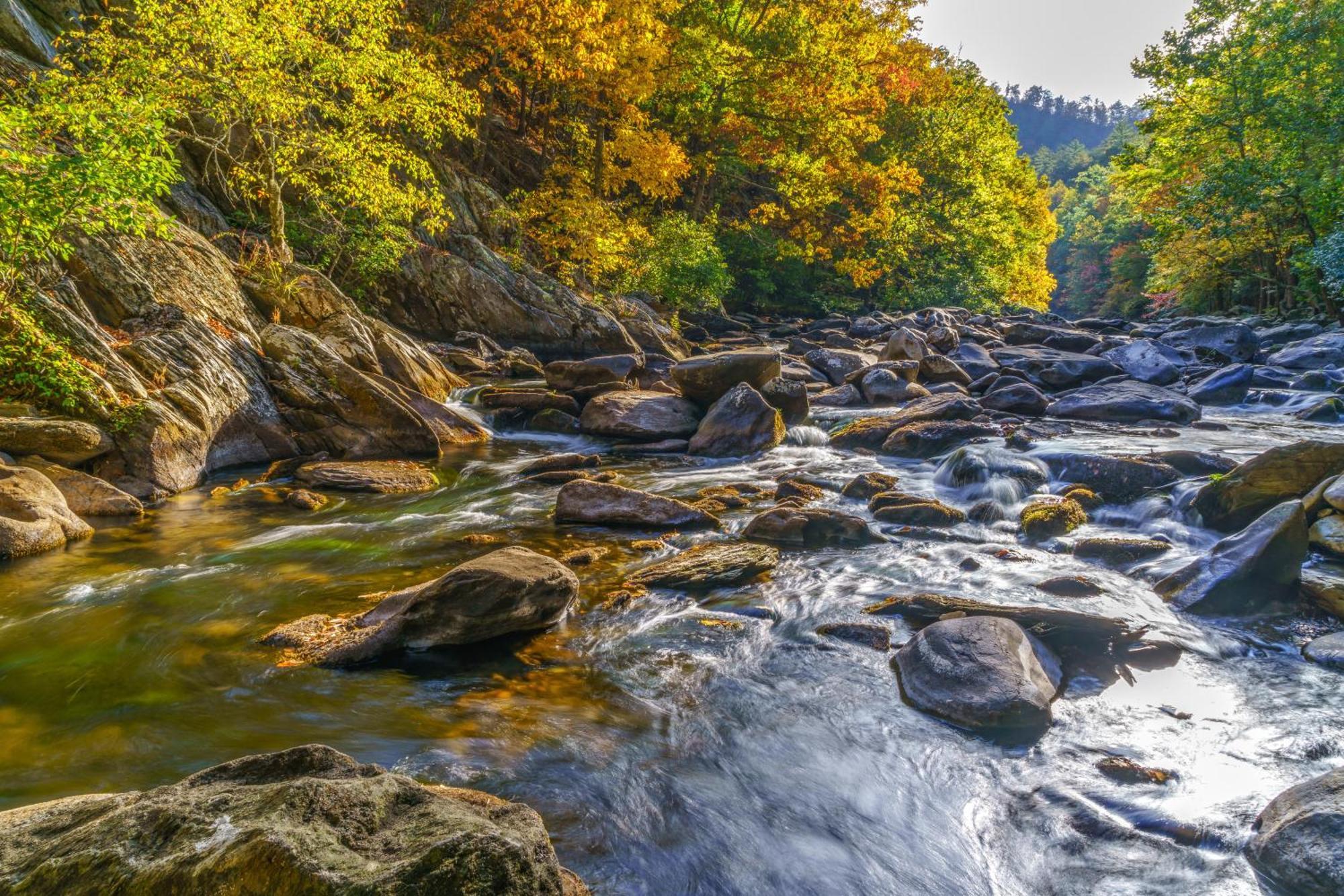 Fawn Cabin Gatlinburg Ngoại thất bức ảnh